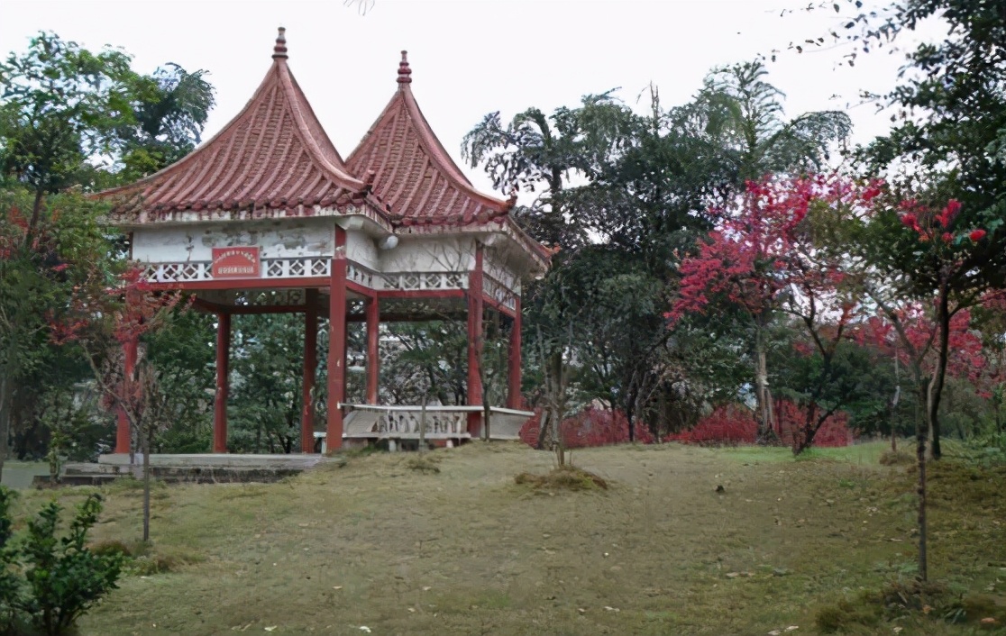 西南大学要考多少分能录取,如果想考进西南大学需要考多少分