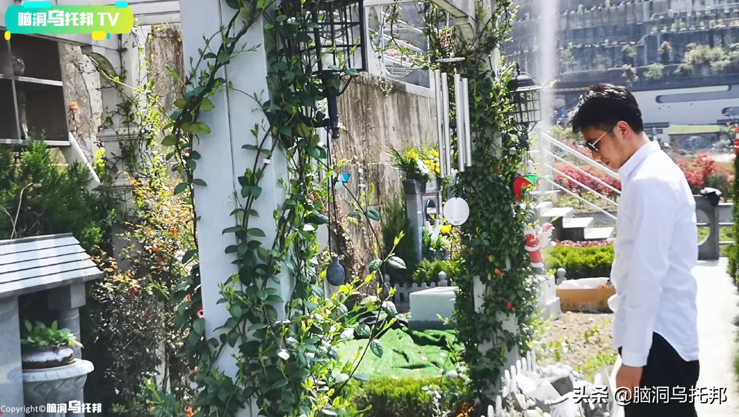 网红林生斌的视频,网红林生斌