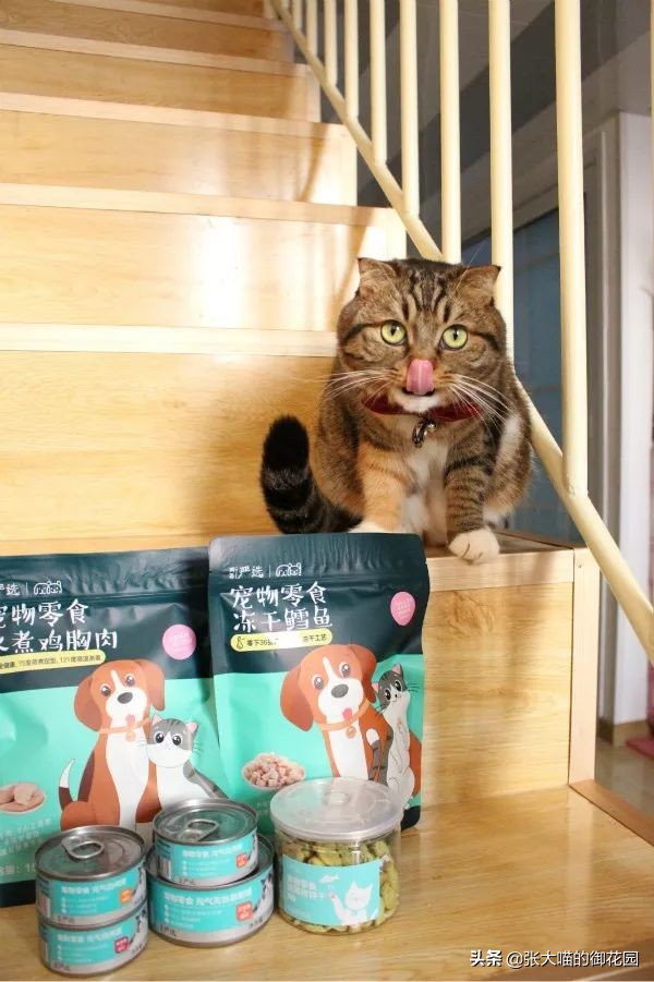 网易严选猫咪冻干零食,网易严选猫零食罐测评
