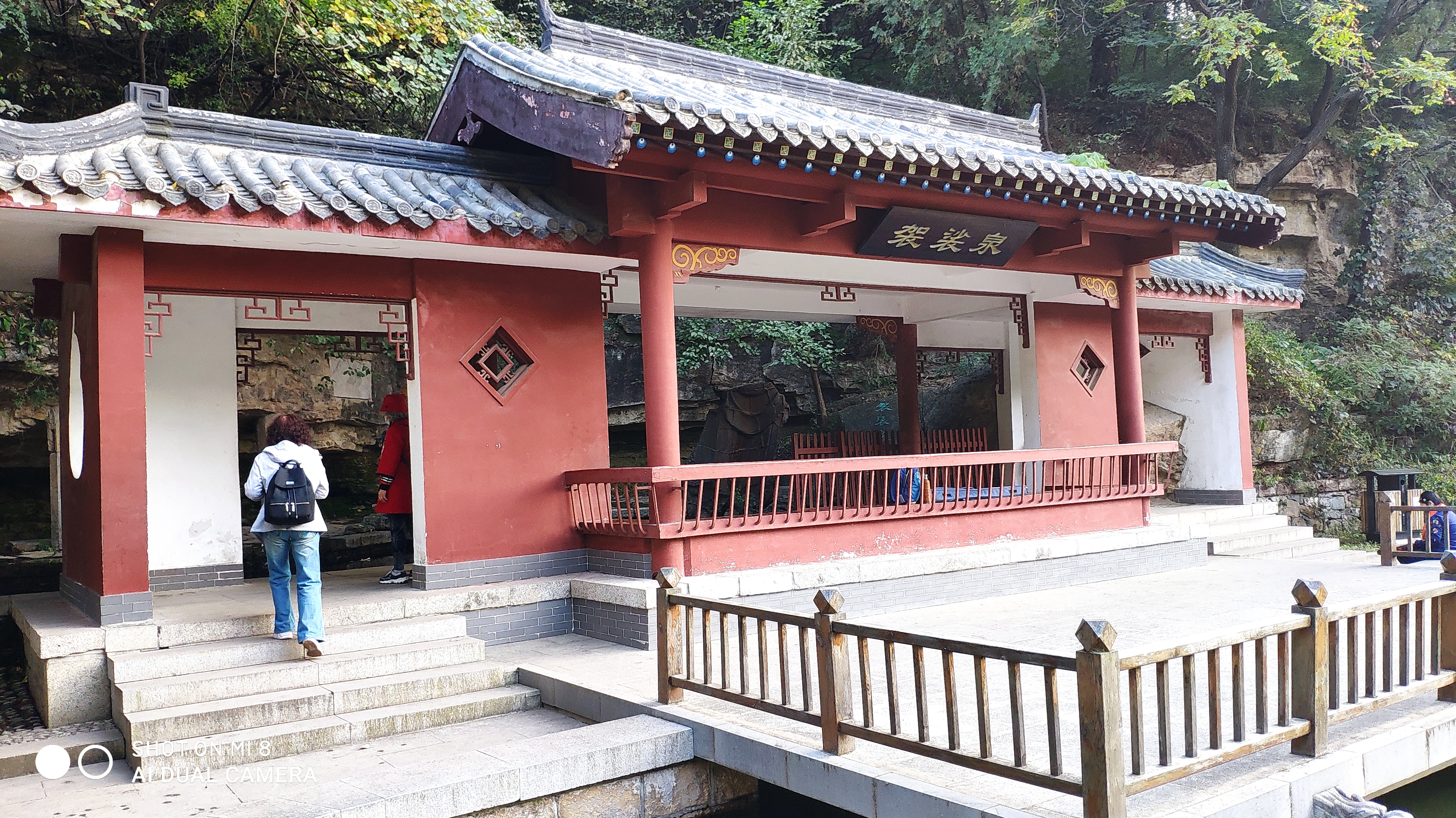 去济南灵岩寺什么必看,济南灵岩寺神树