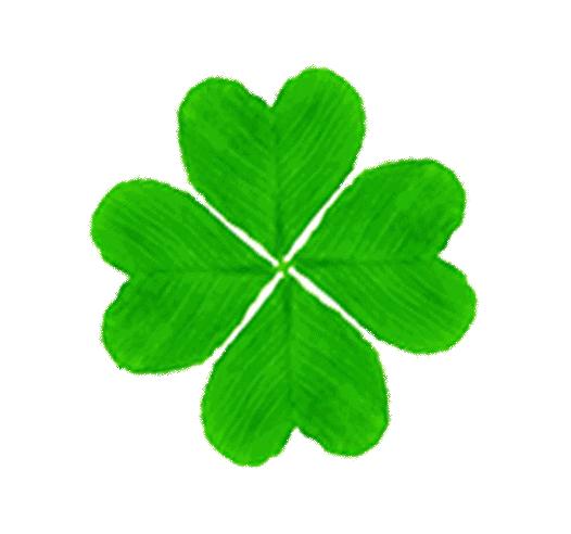 2020高考考纲词汇3500读音,2023高考英语考纲3500词汇详解