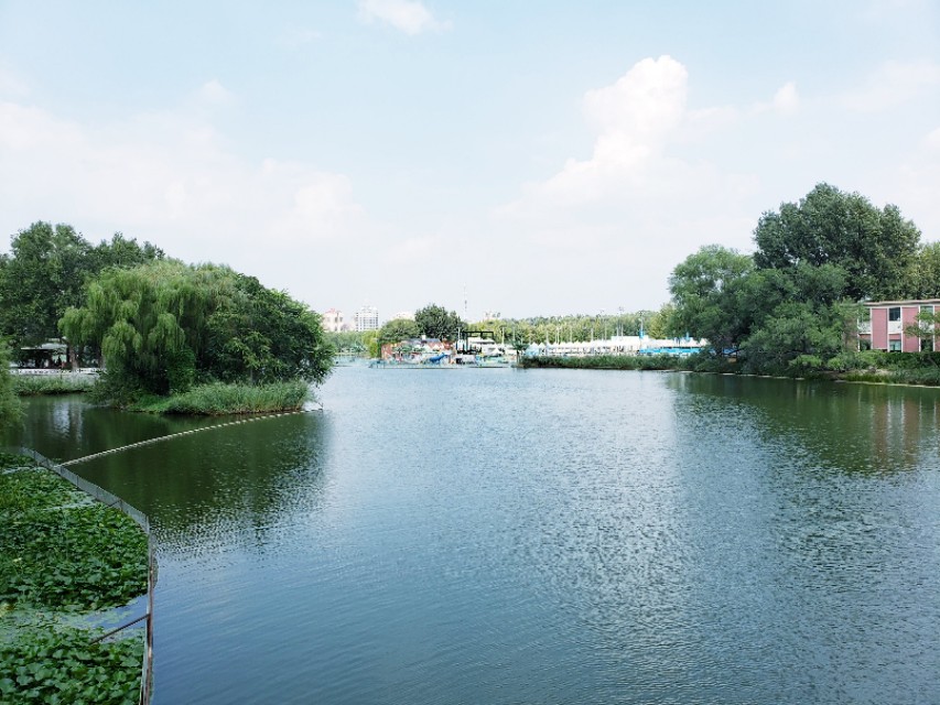 北京适合带娃遛狗的公园推荐,北京适合带娃溜达的公园