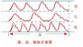 中医把脉自学教程脉象虚,把脉自己学会