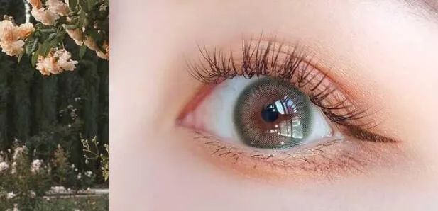 美瞳是半年抛年抛还是月抛日抛,美瞳日抛平价推荐学生半年抛