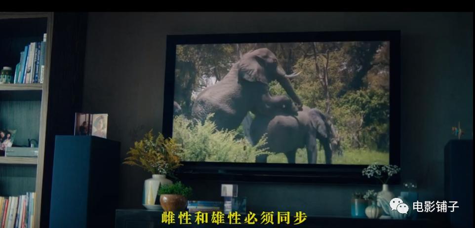 hbo又出新剧果然全程高能,hbo新剧领地