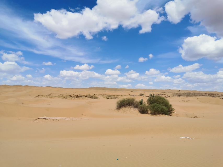 沙漠地图有水的地方,原神沙漠有水的遗迹