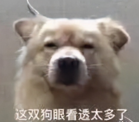 防脱洗发水真相大揭秘,话说防脱洗发水真的有用吗