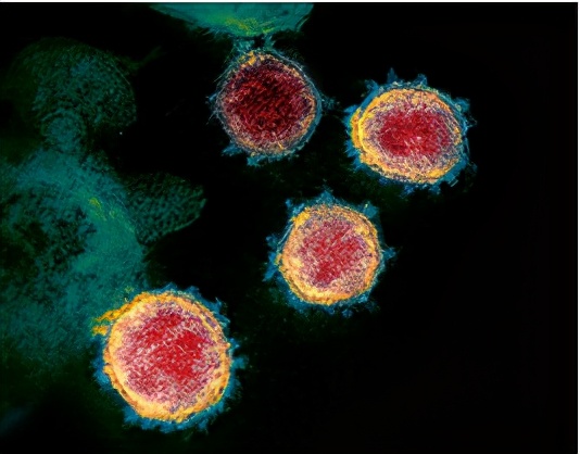 nature重磅揭秘人类抗击糖尿病历史,nature十大科学进展