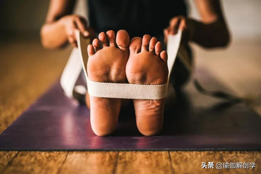 初练瑜伽脚掌的正确姿势,瑜伽脚根基发力点和要点