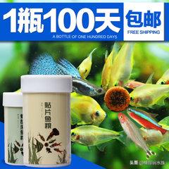 热带观赏鱼怎么养,最好养热带观赏鱼种类大全