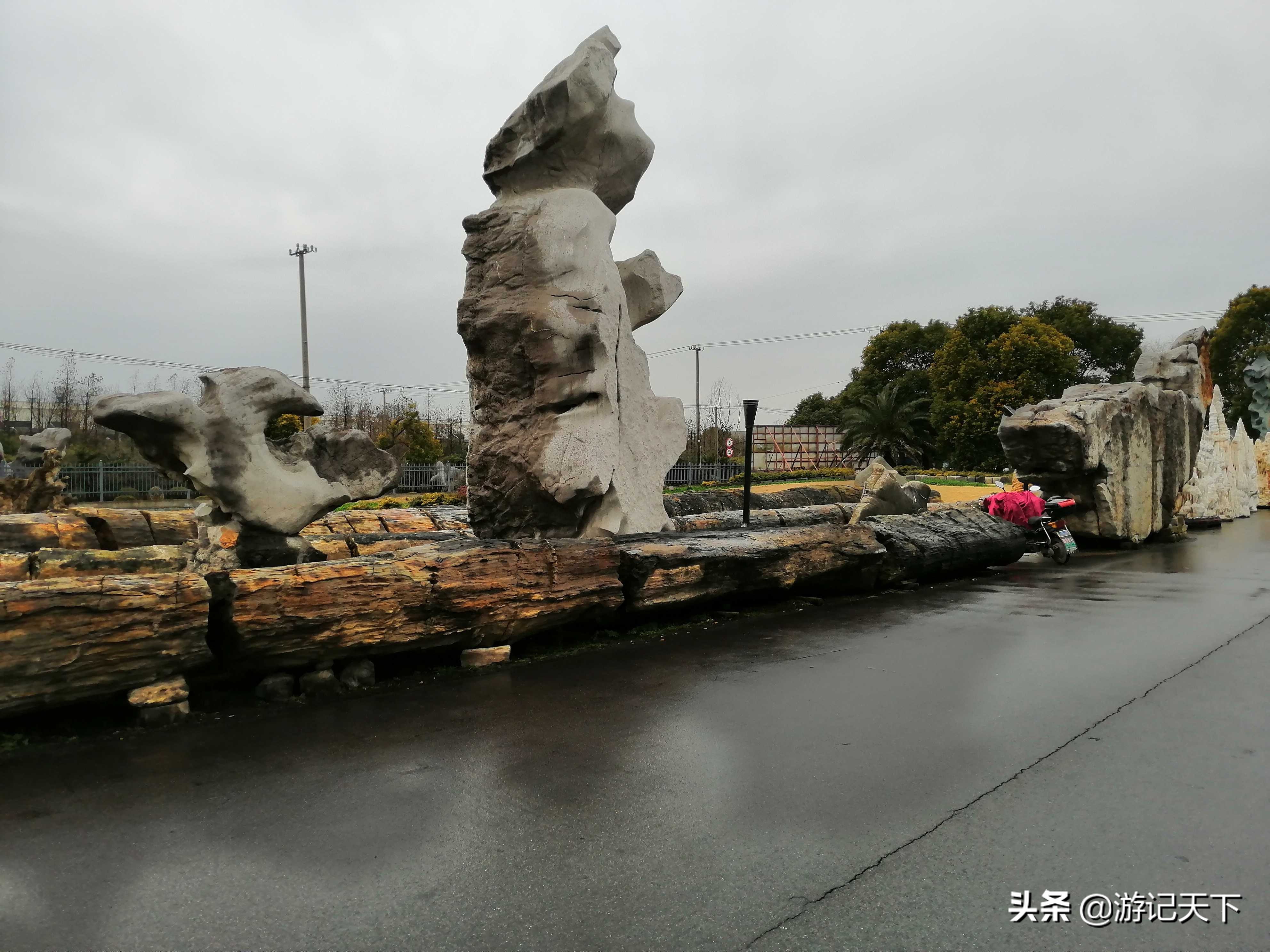 阿尼亚参观博物馆,上海地质科普馆游玩