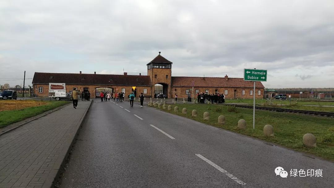 奥斯维辛集中营旅游,奥斯维辛集中营雏菊