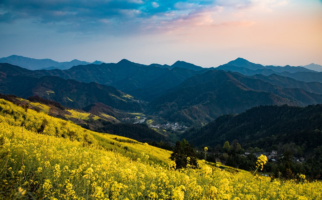 歙县观赏油菜花经典路线,歙县自驾游婺源看油菜花车停哪里