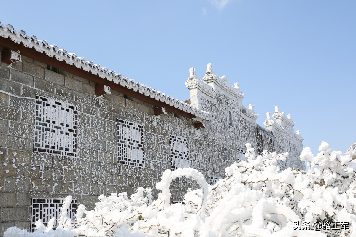 鍗楄僵灏忚鍏ㄩ泦鍏嶈垂闃呰,鍗楄僵浼犲鏁呬簨