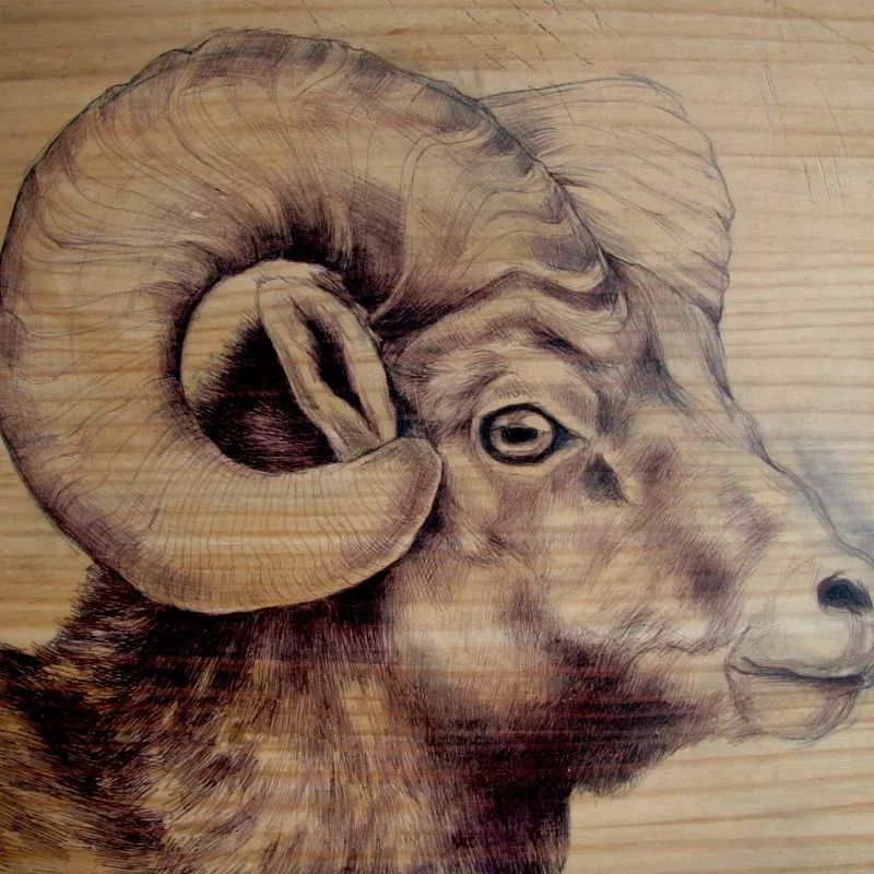 3d超写实彩铅画,超写实彩铅手绘细腻的让人咋舌