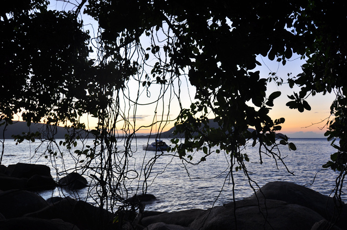 全民热遗｜大堡礁上有个翡翠岛，绝美好玩，还是海龟康复中心