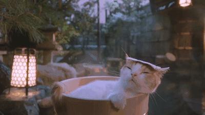 武汉周边最好的温泉是哪家,武汉温泉值得去的地方