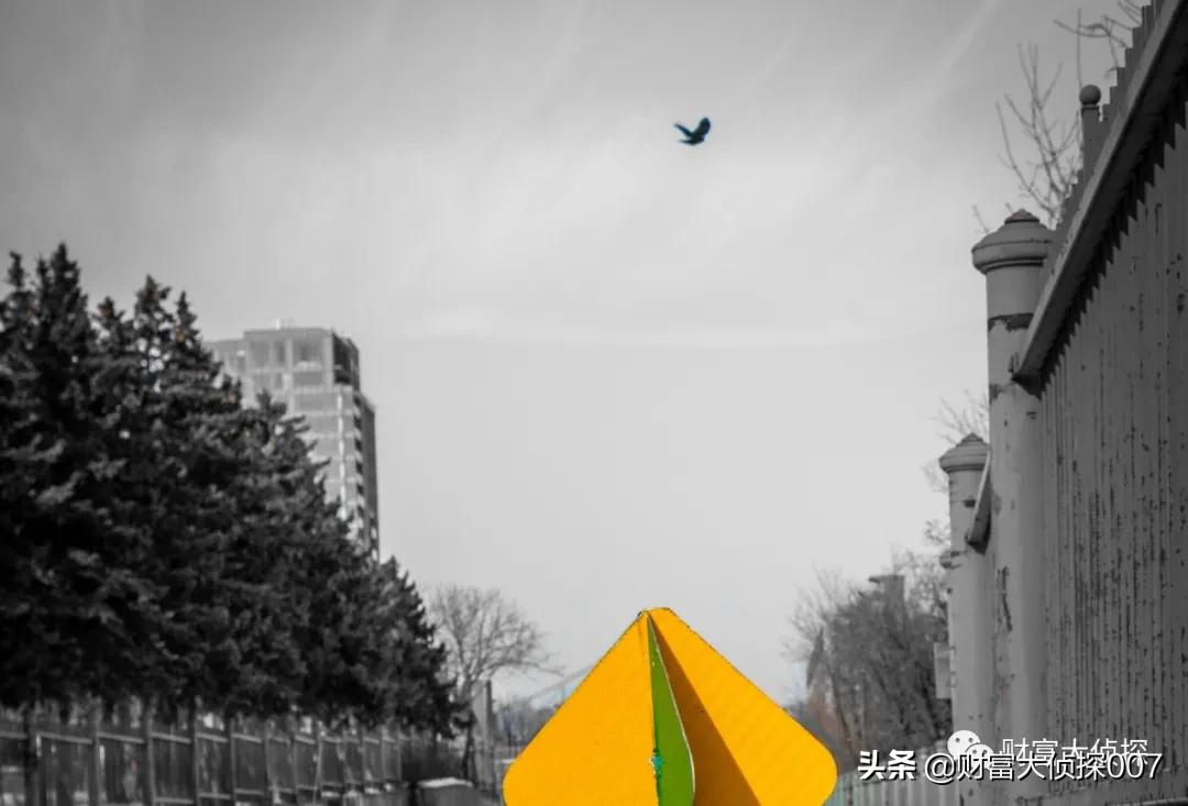 金鹰基金业绩排名,金鹰基金为什么一直亏