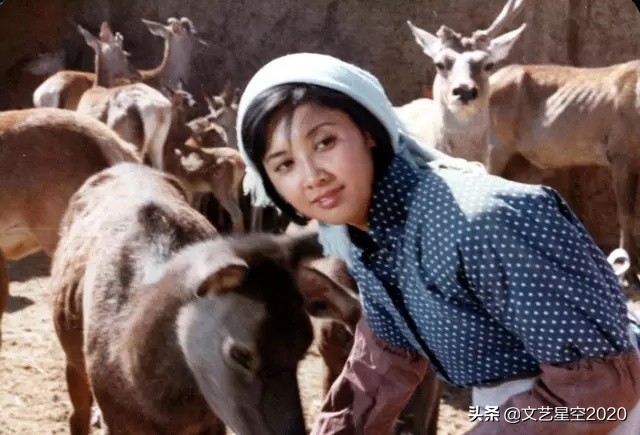 张贤亮最好的文学作品,张贤亮的小说全集