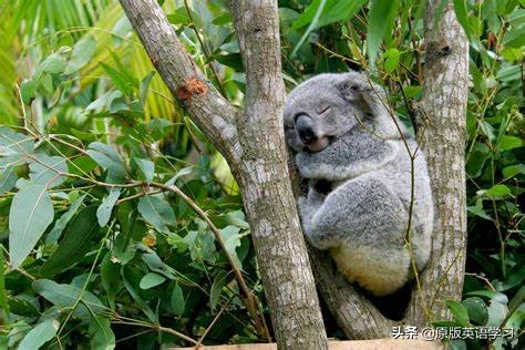 初中英语书mynameismary,三年级英语mynameissarah