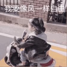 太全了,南京人少景美的免费公园