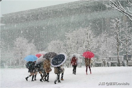 日本厚木纯棉袜,比暖宝宝好看的袜子