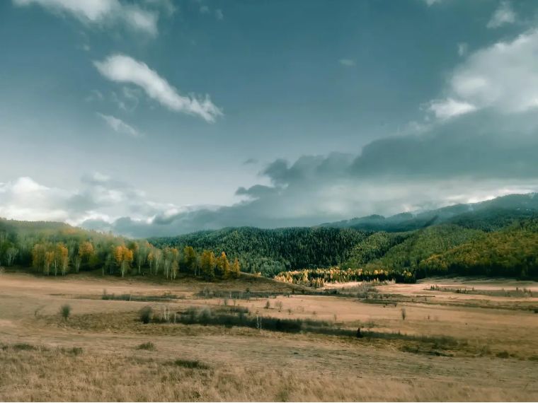 20个技巧，助您手机拍大片！（影展点评第455期）