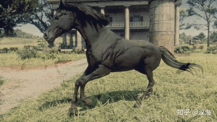 荒野大镖客救赎2新手攻略,荒野大镖客救赎2怎么获取白马