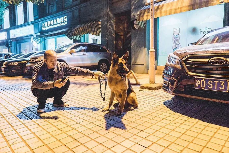 救流浪狗的真实记录,一外国人来中国救助流浪狗