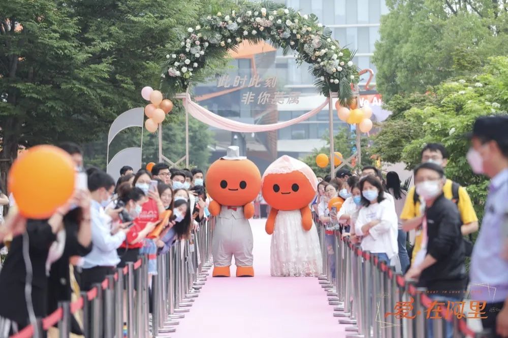 阿里为什么有集体婚礼,阿里秘密项目