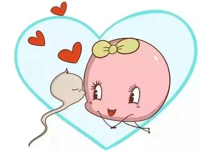 卵子怎么产生和死亡的,卵子到底是怎么死的