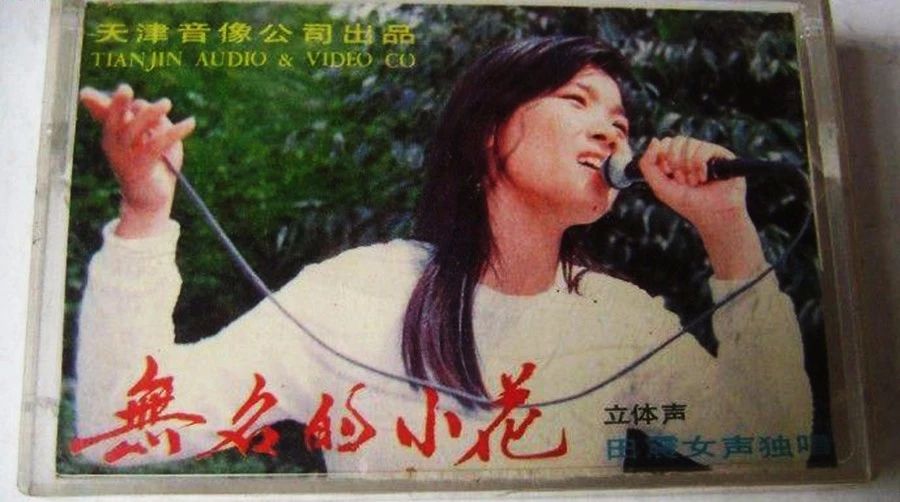 最不该被遗忘的歌手,曾经乐坛的当红一姐