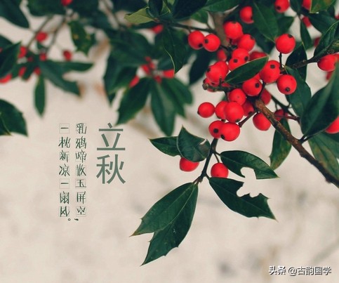 二十四节气对应一句诗句,二十四个节气二十四首诗词与配图