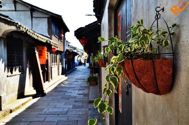 上海拍照打卡古镇,上海最新网红打卡景点夜晚