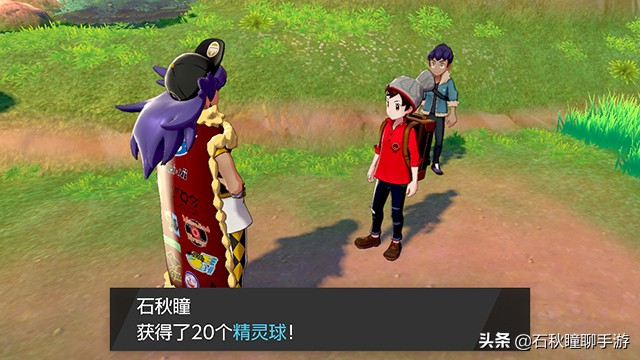 宝可梦剑盾一周目二周目什么意思,switch精灵宝可梦剑盾一周目