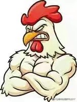 周口817肉杂鸡今日行情,817青脚麻鸡价格行情今天