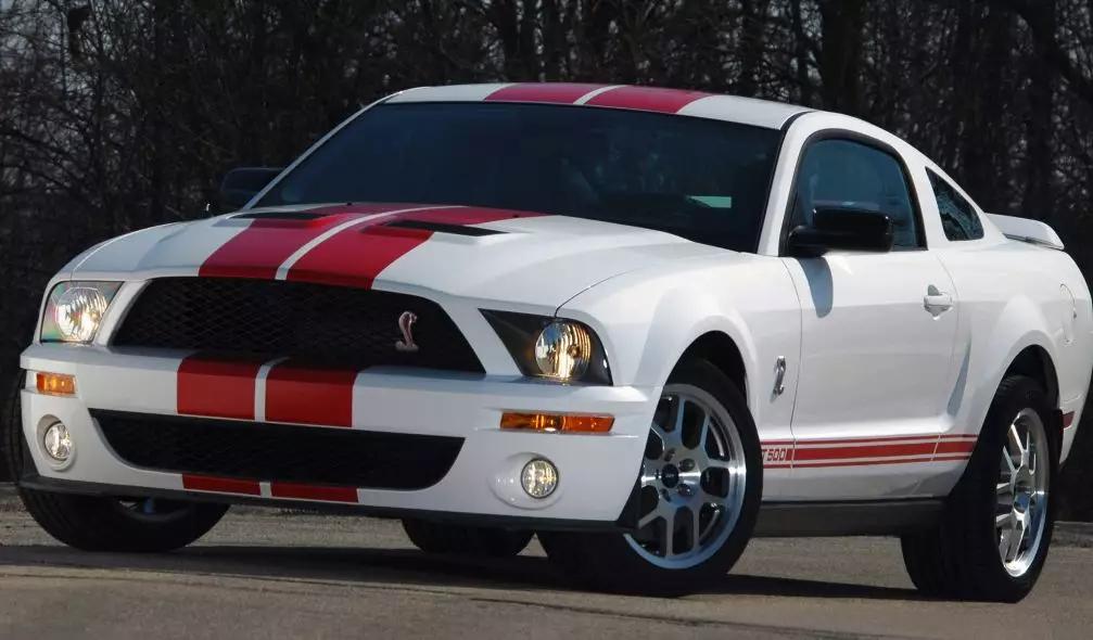 为什么mustang不叫野马,野马mustang第七代5.0定价