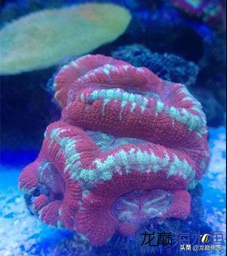 说出来都是泪！只有新下海的人才能体会这种痛，简直是全军覆灭