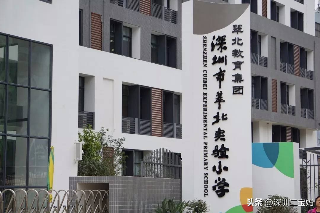 深圳罗湖区九大教育集团,深圳罗湖有哪些好的教育集团