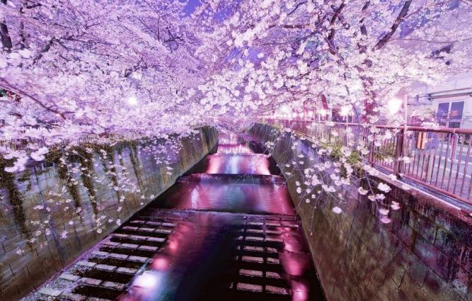 2h直飞赏光之海，机票仅700，此地性价比超高人还少，适合溜娃！