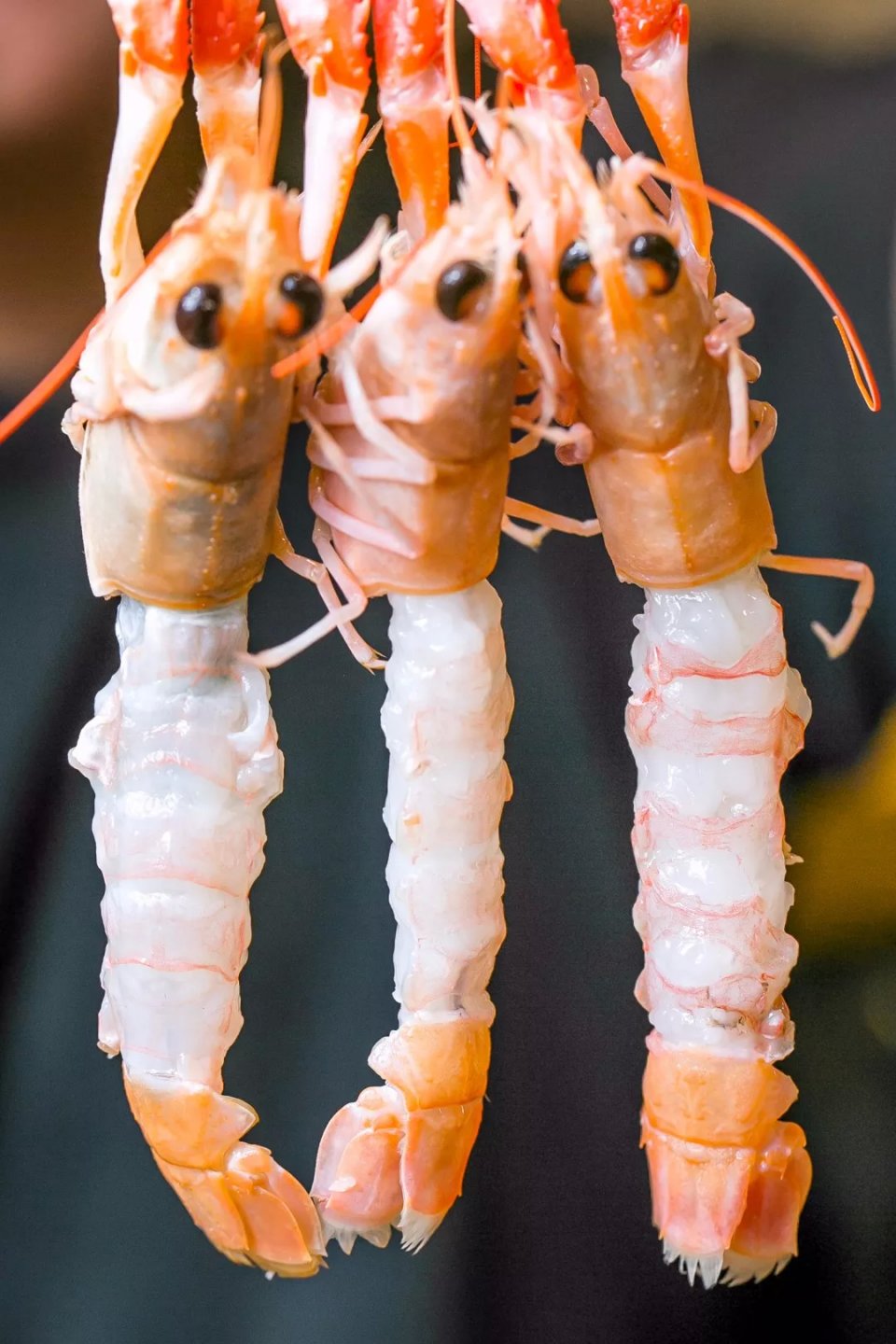 航母海鲜自助,陆家嘴自助帝王蟹