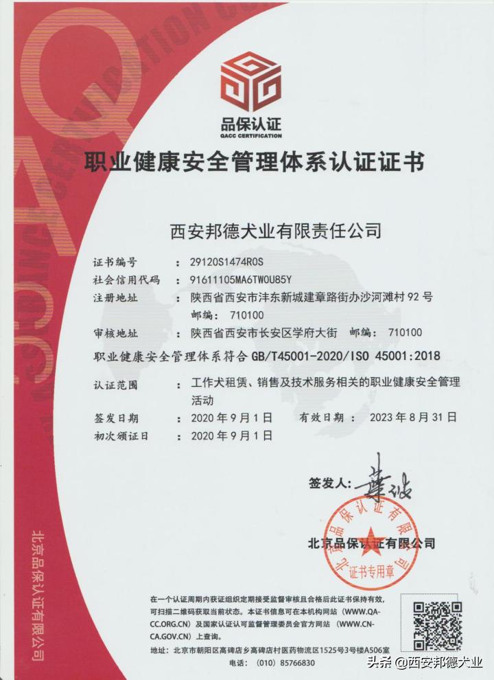 宠物训练学园,宠物训练营学校