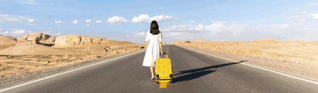 十里春风，不如一盏春茶