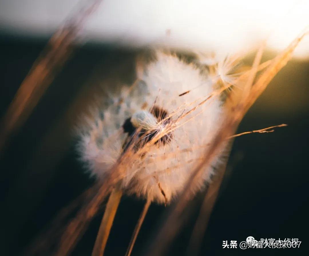 中邮基金最新消息,中邮基金13到15年最牛基金