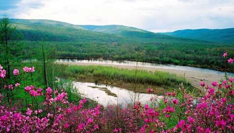 前进路上，更加辉煌！蒋振军，用文艺作品鼓舞士气