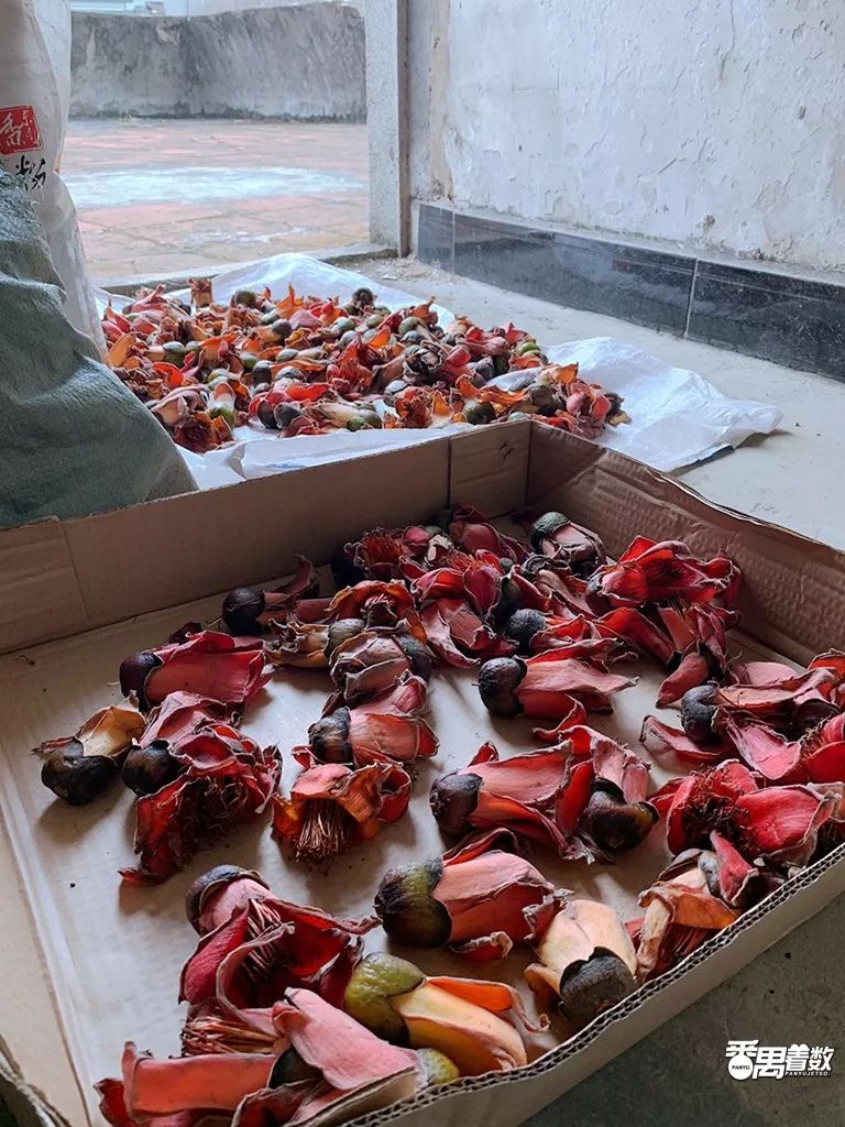 在番禺居住怎么样,在广州番禺哪里住得舒服