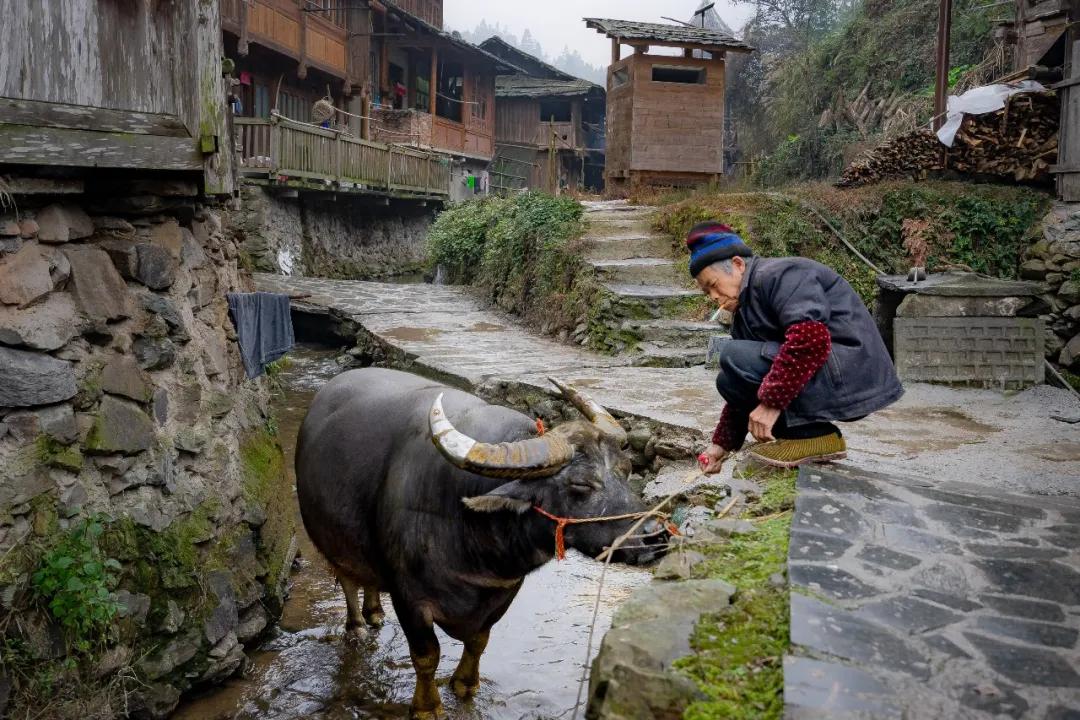 贵州黄岗侗寨优美视频,黄岗侗寨全景视频