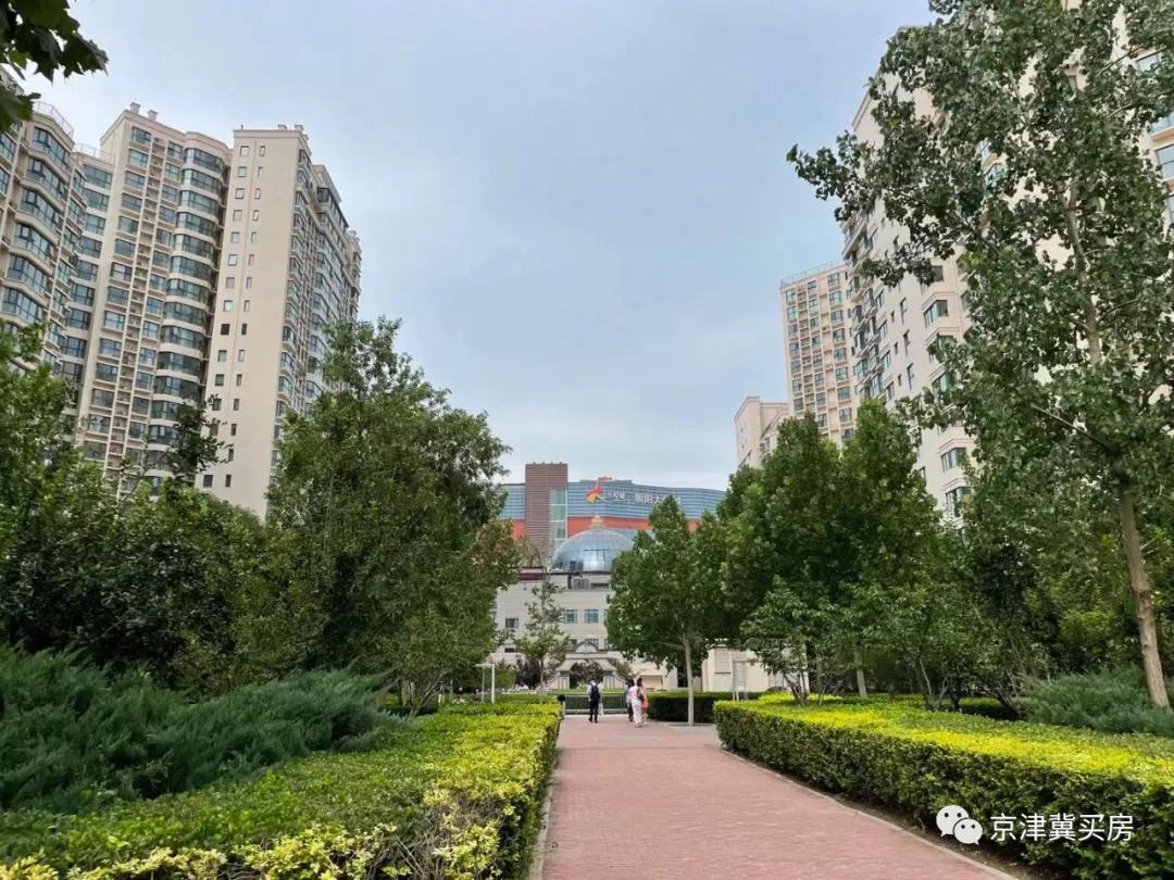 朝青2018年价格,朝青价格走势