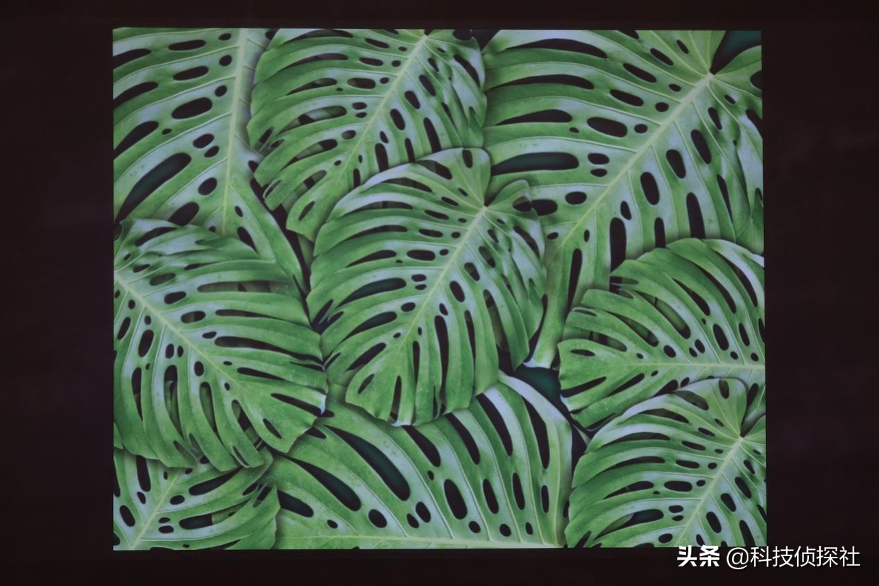 运动补偿杜比音效电视机,高端液晶电视运动补偿