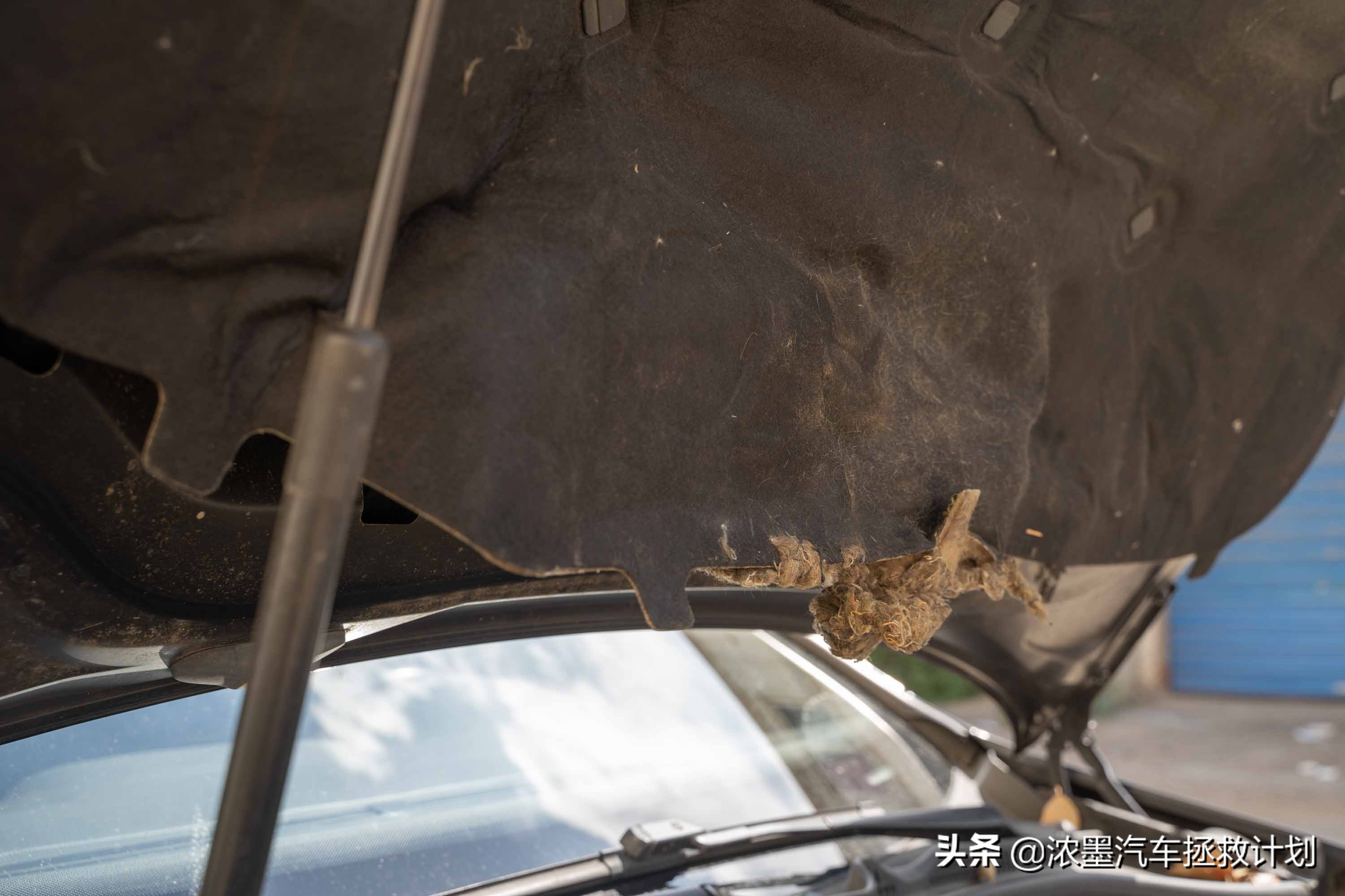 澎湃驾控,六代高尔夫gti深度测评